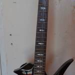 AXL1